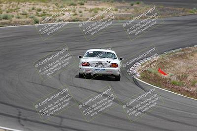 media/May-03-2025-Lucky Dog Racing (Sat) [[206de64b9d]]/Turn 4 B (1150am-130pm)/